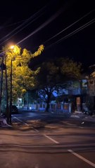 good night everyone have a nice dream