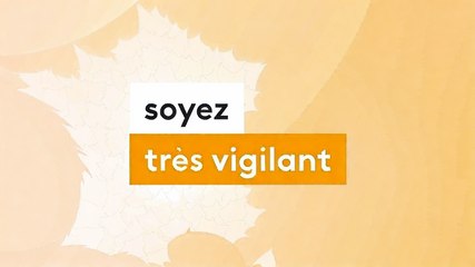 Alerte Météo : 69 départements placés en vigilance orange et jaune