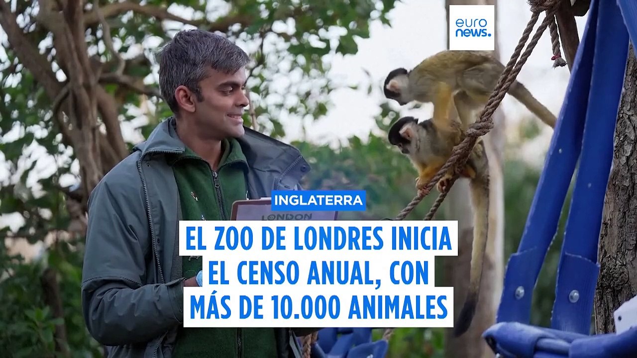 Los operarios del zoo de Londres pasan lista para realizar el censo anual de animales