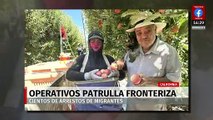 Patrulla fronteriza ha realizado operativo contra los migrantes en el condado de Kern