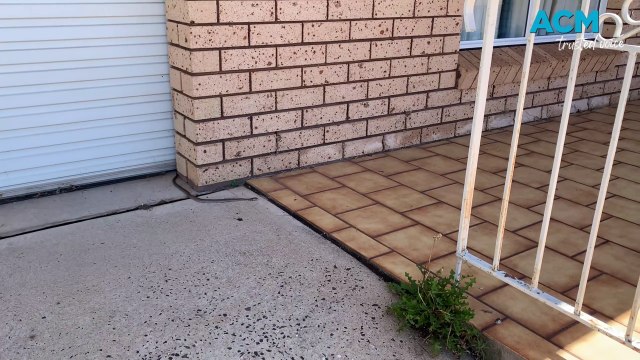 Snake sighting in West Bathurst