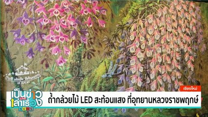 เที่ยวป่าส้มแสง สัมผัสธรรมชาติ ป่าชุ่มน้ำอัตลักษณ์ | เป็นข่าวเล่าเรื่อง | 10 ม.ค. 68 | PART 2