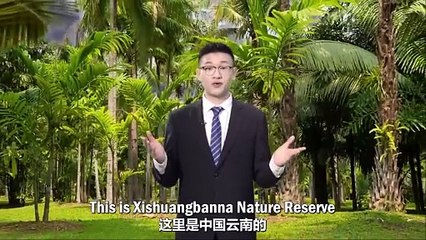 Exhibition of 2024 ISVC Outstanding Works 《Journetys in China-Elephant Migrations》