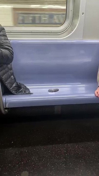 Don_t sleep on the train_ you might catch something _Parasyte_TheGrey _Netflix(360P)