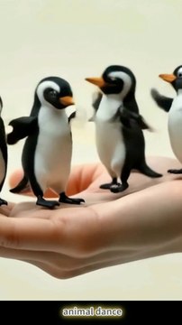 new Dancing TV🎄Let's have fun dancing together! #animal dance 💃 Dogs Cats Tigers Snakes Red panda🧸