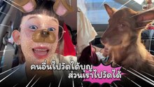 คนอื่นไปวัดได้บุญ ส่วนเราไปวัดได้หมา…