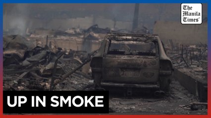 Pacific Palisades resident loses 'everything' in wildfire