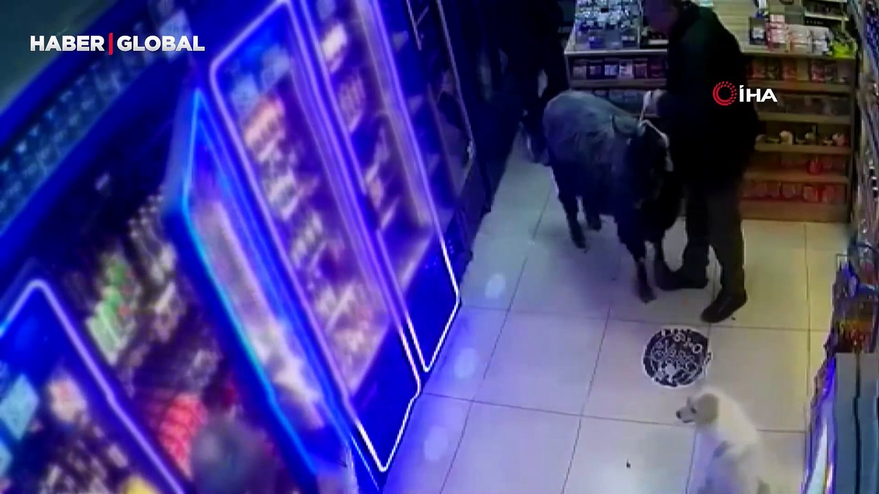 Keçi ile büfeye girdi, olanlar oldu, “Ağabey büfeye keçi ile mi gelinir?”