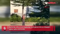 Köpeğini eğitmek için güvercine eziyet etti! Vahşet sonrası karar