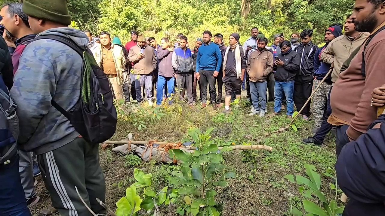 48 घंटों में हुई बाघ की 3 घटनाएं,बाघ का बढ़ा खतर...