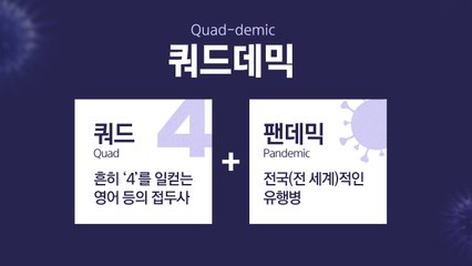 독감 대유행 '쿼드데믹' 우려... 설 연휴 최대 고비 [앵커리포트] / YTN