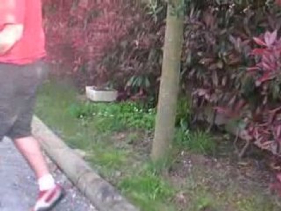 PETANQUE 3