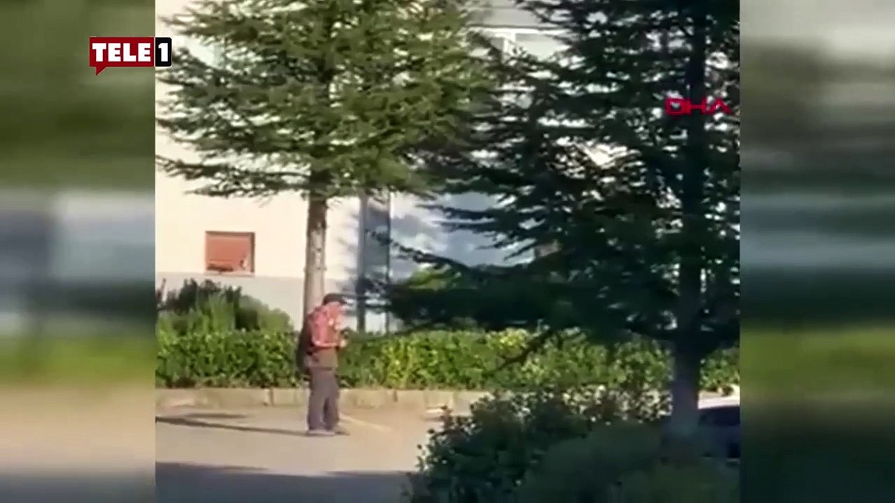 İnsan kılığındaki cani! Canlı güvercini köpeğine yem yaptı