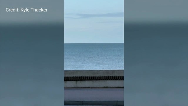 Humpback Whale spotted off Deal coast in Kent