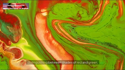 Color Vision Test What You Need to Know