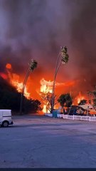 Los Angeles Wildfires