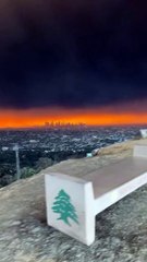 Los Angeles Wildfires🔥