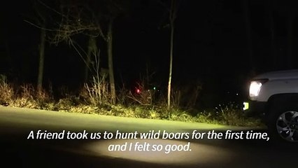 China wildlife bounty hunters take their boar war online