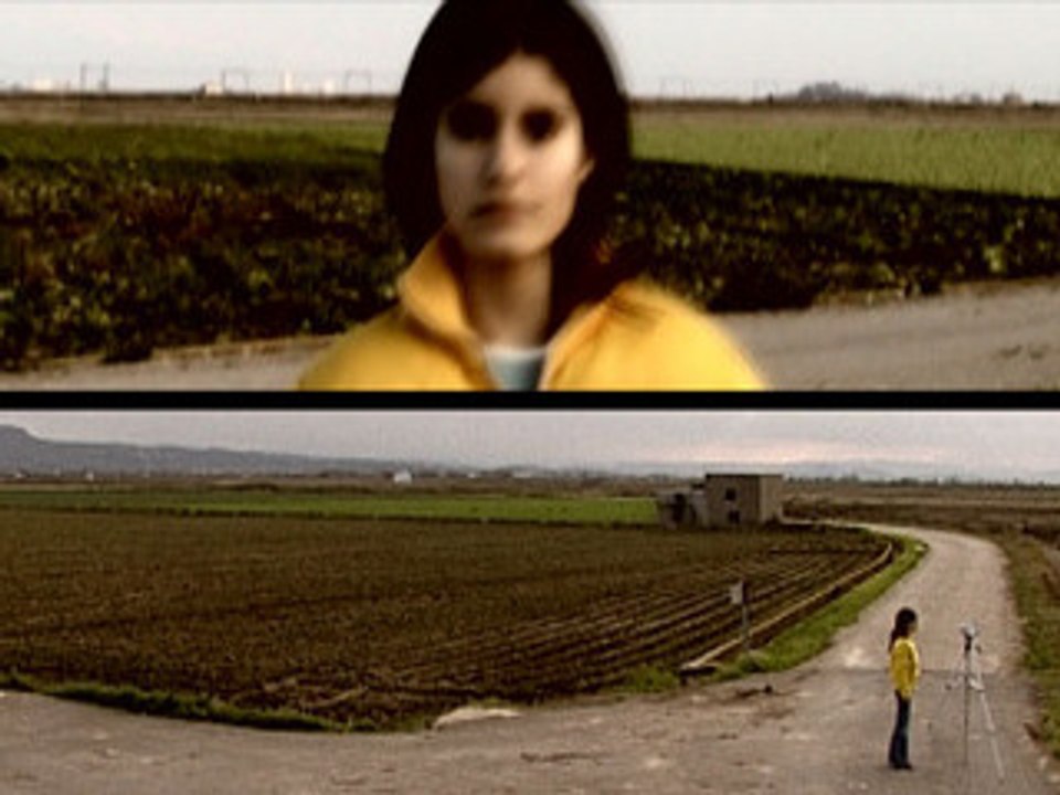 La línia de l'arbre