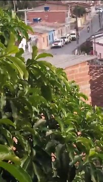 Troca de tiros entre policiais e suspeitos em Rio Largo