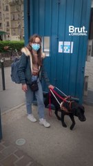 Malvoyante, Bérénice retourne au collège avec son chien-guide, Opium
