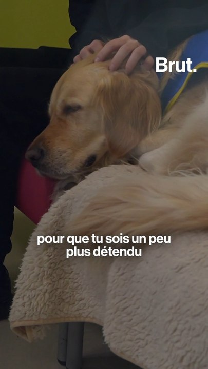À Orléans, cet UAPED prend en charge les mineurs victimes de violences
