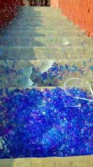 Unlock Your Freedom with Sigma Mindset! 💥