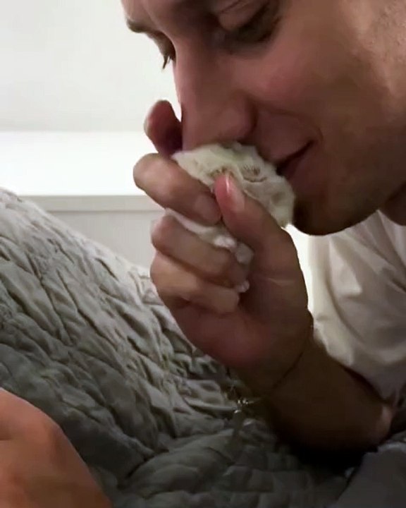 🐹🌟 Discover the world of Hamsters like never before in our latest video!