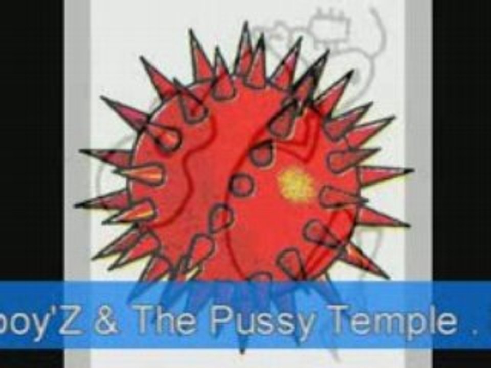 FESTIVAL ..ROCK SOUND POUDRIERE-BELFORT 3 MAI 2008