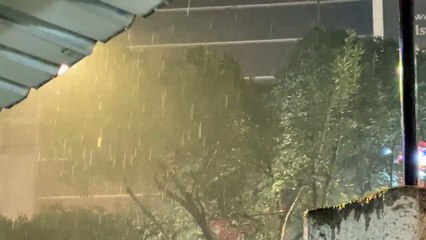 सर्द हवाओ ने ठिठुरन बढ़ाई और कोहरे ने रोकी वाहनों की रफ्तार