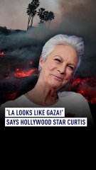 ‘LA looks like Gaza!’ says Hollywood star Curtis