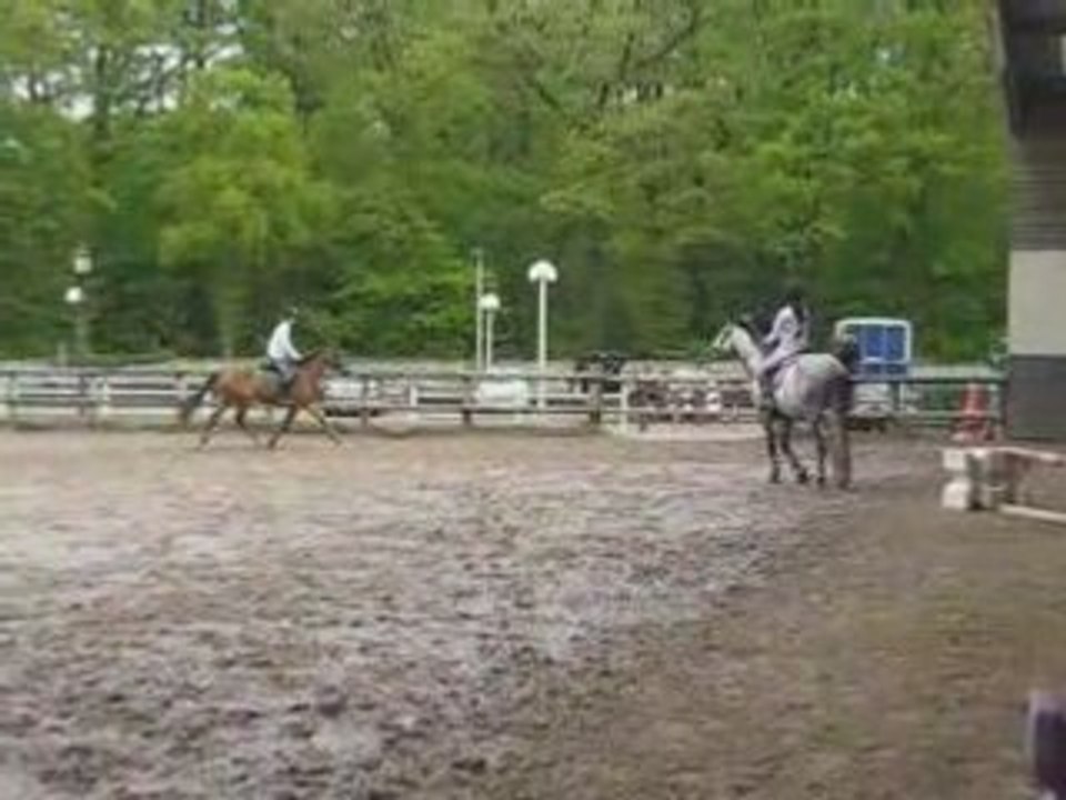 Queiros Saut