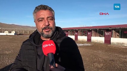 Kangal köpeği sevdasını 'safkan' üretim çiftliğine dönüştürdü