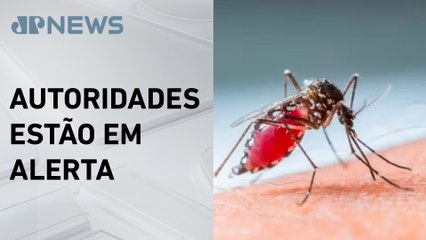 Rio de Janeiro registra primeiro caso de dengue tipo 3 desde 2007