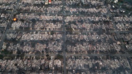 Wildfires are increasing, so why is wood a popular building tool in hotspots?