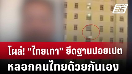 โผล่! "ไทยเทา" ยึดฐานปอยเปตหลอกคนไทยด้วยกันเอง | เข้มข่าวค่ำ | 10 ม.ค. 68