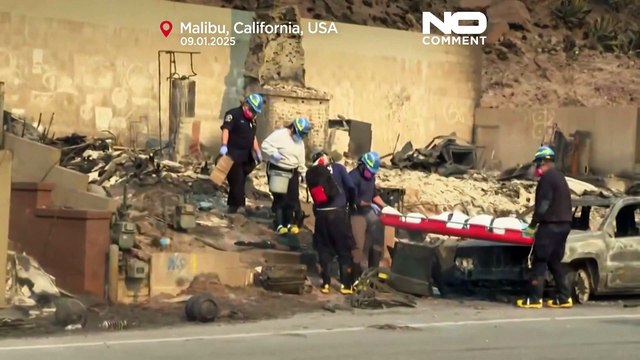 خانه‌های گرانقیمتی که در آتش‌سوزی مرگبار لس‌آنجلس خاکستر شدند؛ شمار کشته‌ها به ۱۰ نفر رسید