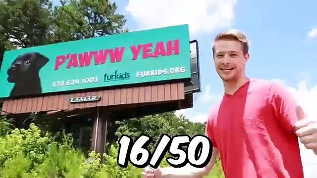 I Adopted EVERY Dog In A Dog Shelter