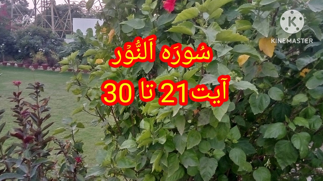 Surah An Nur || quran recitation || quran pak ki tilawat || learn quran ||