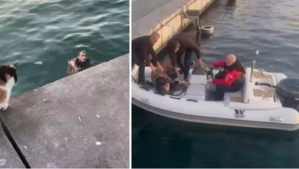 Kadıköy’de bir kişi denize düştü! Vatandaşlar arasında ilginç diyalog kamerada