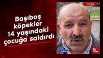 Sancaktepe'de başıboş köpekler, 14 yaşındaki çocuğa saldırdı