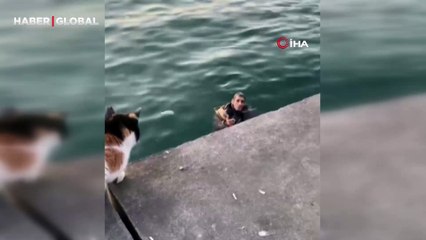 Kadıköy'de denize düşen alkollü olduğu iddia edilen vatandaştan ilginç cevap: "Allah beni boğmuyor”