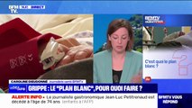 Grippe: en quoi consiste le plan blanc? BFMTV répond à vos questions