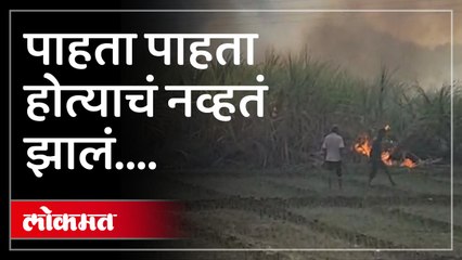 आता तोंडाशी आलेला घास गेला , या शेतकऱ्याचं लाखोंचं नुकसान झालं