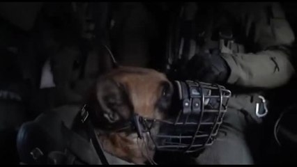 Libano, l'esercito israeliano perlustra dei villaggi nel Sud