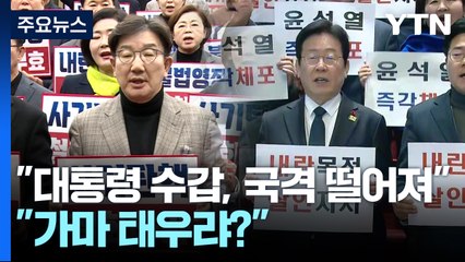 권영세 "대통령에 수갑, 국격 떨어져"...야당 "가마 태우랴?" / YTN