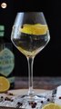 Gin tonic, der perfekte cocktail für den aperitif!