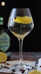 Gin tonic, der perfekte cocktail für den aperitif!