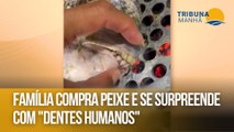 Família compra peixe e se surpreende com 