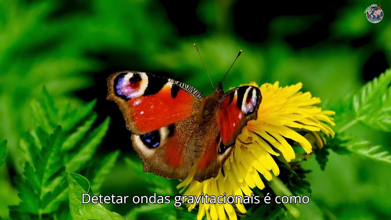 Ondulações Cósmicas: O Que as Ondas Gravitacionais Revelam Sobre o Universo?